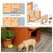 Dog House Design Plans Build the Perfect Home