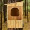 Barred Owl House Design A Comprehensive Guide