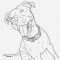 Pitbull Dog Coloring Pages A Comprehensive Guide