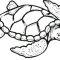 Coloring Pages Sea Turtle Fun and Educational Designs