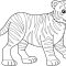 Coloring Tiger Pages A Comprehensive Guide