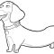 Coloring Pages of Wiener Dogs A Comprehensive Guide