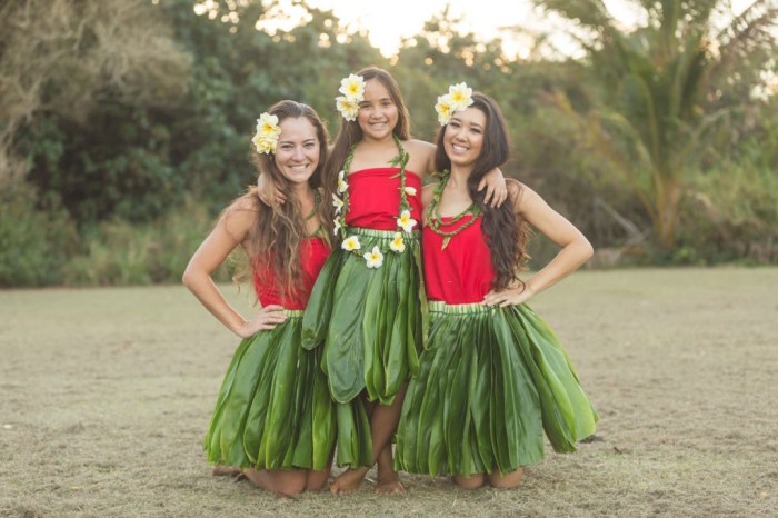 Traditional hawaiian wedding dress holoku