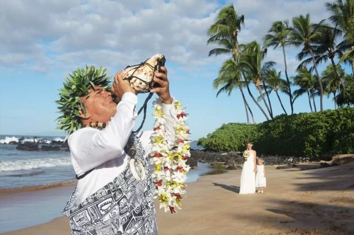 Traditional hawaiian wedding dress holoku